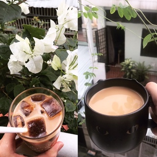 CAFE ĐAKLAK RANG XAY MỘC