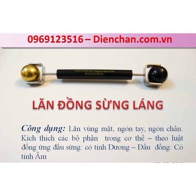 Lăn đồng sừng láng Diện Chẩn ( Lăn mắt)