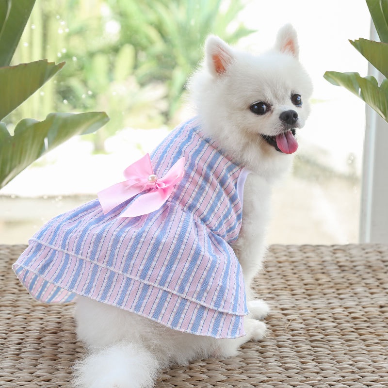 ⭐Hot!⭐Đầm Công Chúa Họa Tiết Sọc Dọc Và Bướm Dễ Thương Thời Trang Mùa Hè Cho Thú Cưng