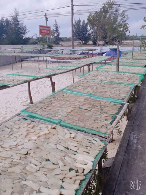 ĐẶC SẢN KHOAI GIEO QUẢNG BÌNH 1kg | BigBuy360 - bigbuy360.vn