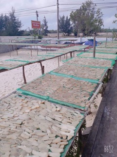 ĐẶC SẢN KHOAI GIEO QUẢNG BÌNH