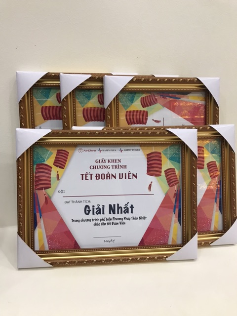 Khung Ảnh Bằng Khen A4 ( 21x30 )