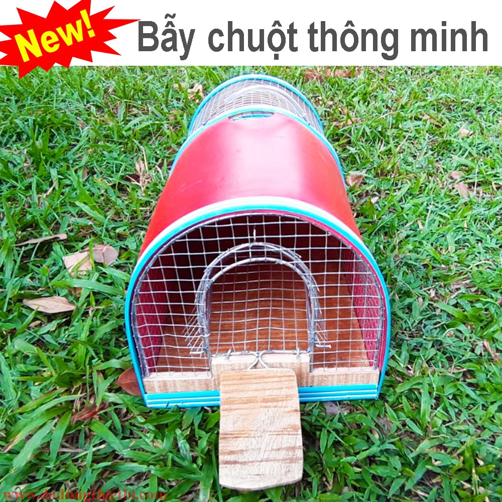 Bẫy chuột thông minh bắt cả đàn không cần gài nhờ cửa 1 chiều vào không ra được