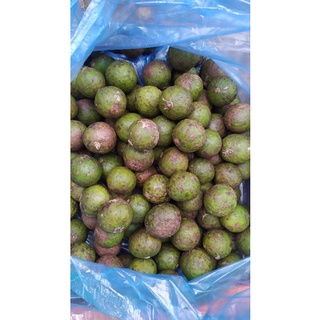 1Kg Quả xấu tươi