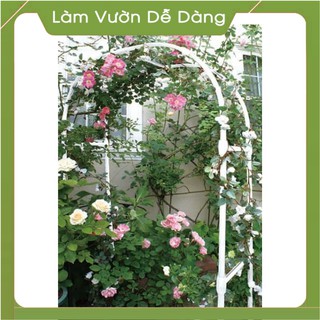 Khung cổng vòm hoa hồng leo dùng để đỡ cây cho hoa hồng leo thành cổng vòm