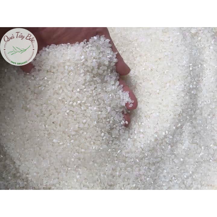 Gạo sén cù hạt tròn đặc sản gạo Văn Chấn Yên Bái | BigBuy360 - bigbuy360.vn