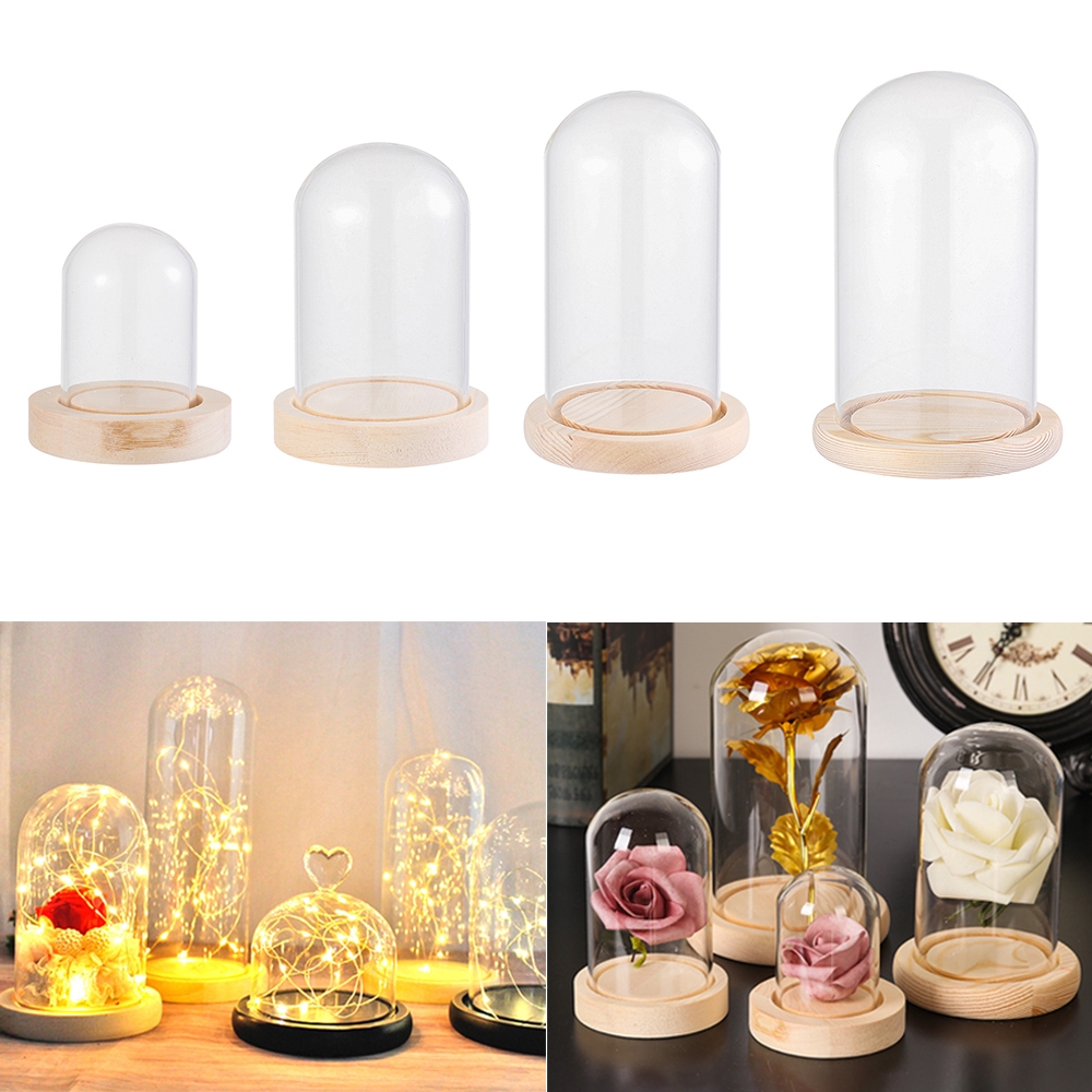 Lồng chụp thủy tinh hình tròn trong suốt độc đáo