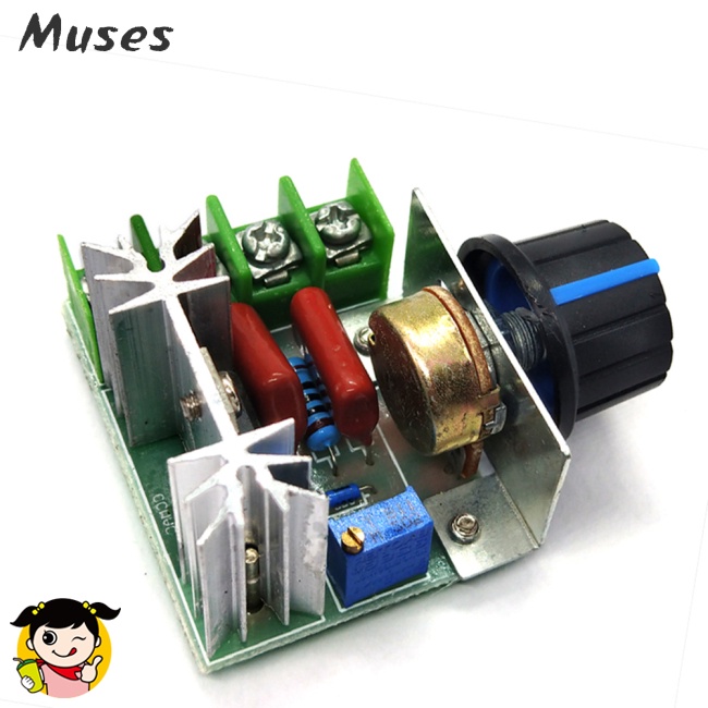 Mô Đun Điều Chỉnh Tốc Độ Điện Áp 2000W 220V Chất Lượng Cao