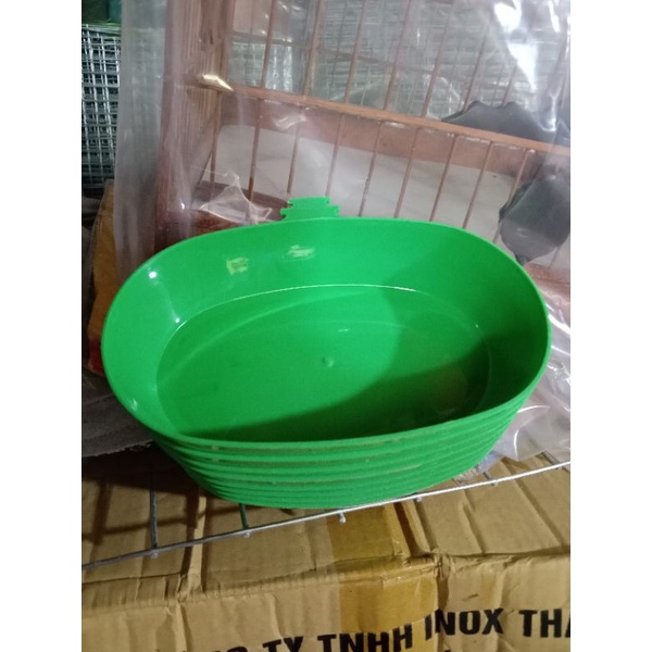 Cóng tắm cho chim