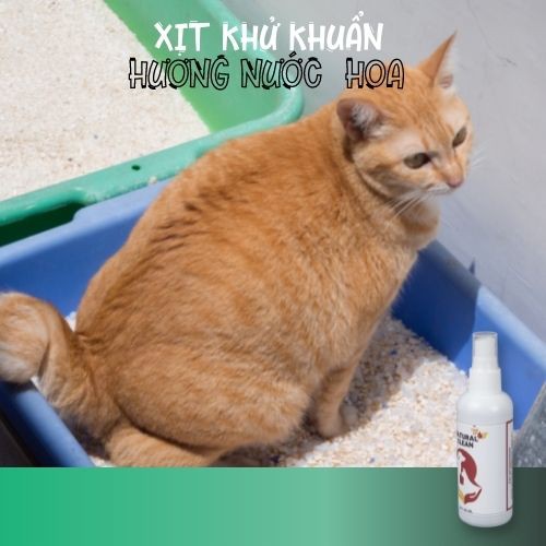 [Mã 55FMCGSALE1 giảm 10% tối đa 40K đơn 250K] HƯƠNG NƯỚC HOA-XỊT KHỬ TRÙNG VỆ SINH CHÓ MÈO