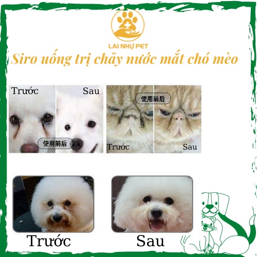Siro uống chống chảy nước mắt ở chó mèo Lacrimal - Lai Nhự Pet