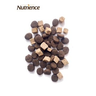 Thức ăn hạt cho mọi giống chó mọi lứa tuổi Nutrience Subzero