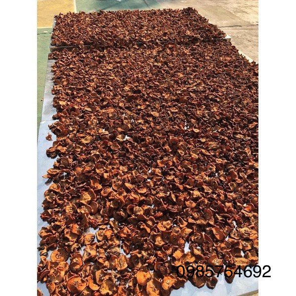 Táo mèo khô Yên Bái, đặc sản núi rừng Tây Bắc ngâm rượu cực ngon không chất bảo quản