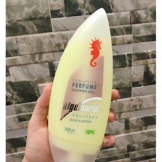 Sữa tắm cá ngựa vàng