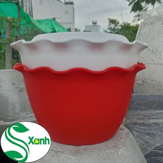 Chậu nhựa trồng cây treo tường 25x16