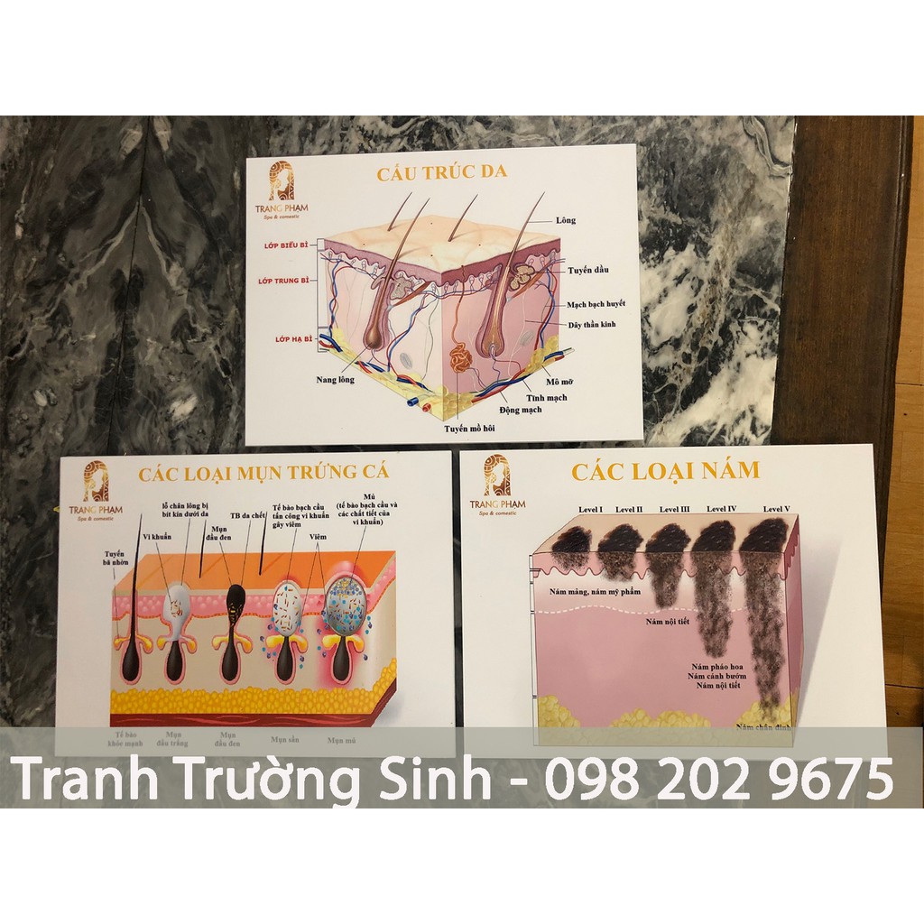 BỘ 3 TRANH CẤU TRÚC DA