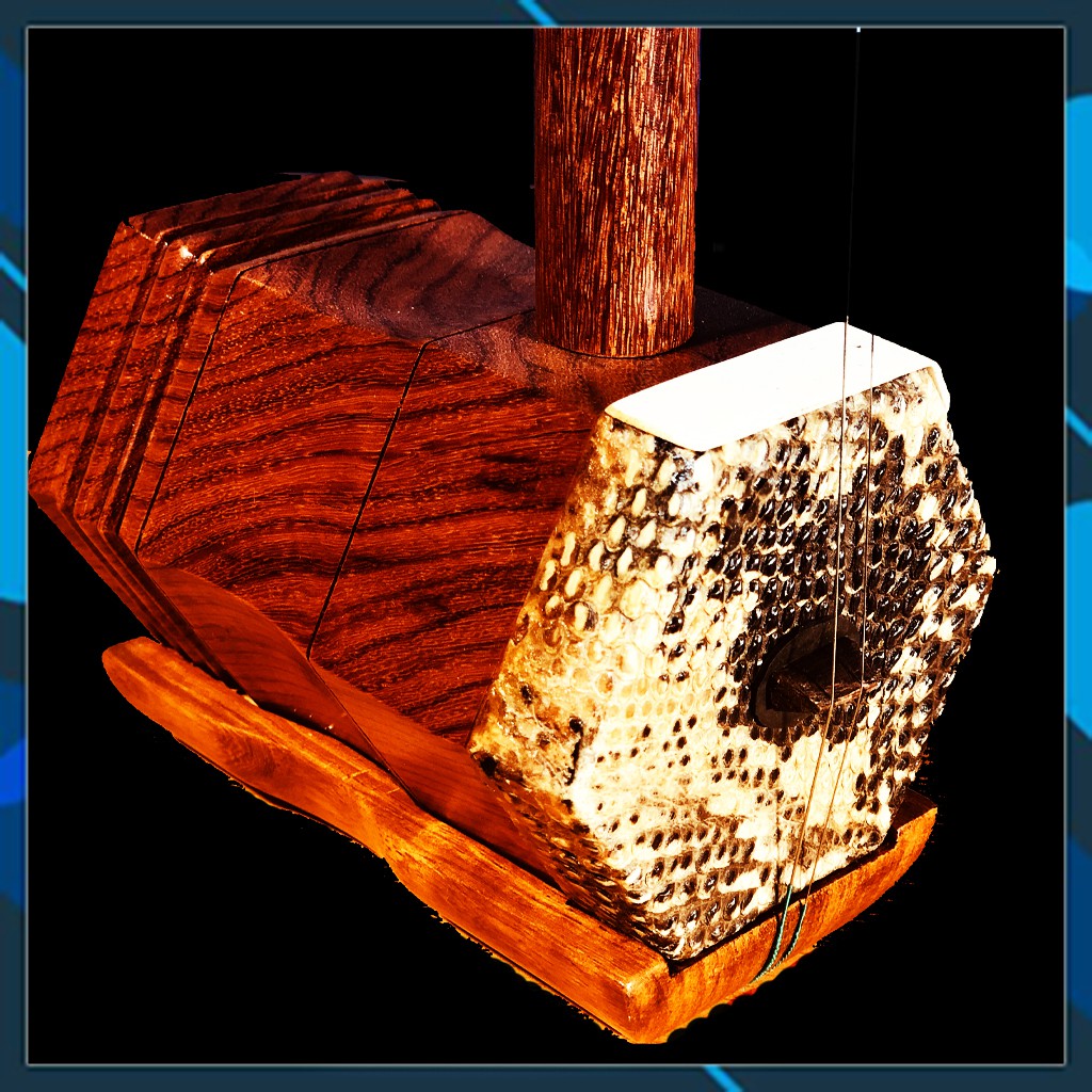 ĐÀN NHỊ VIỆT NAM