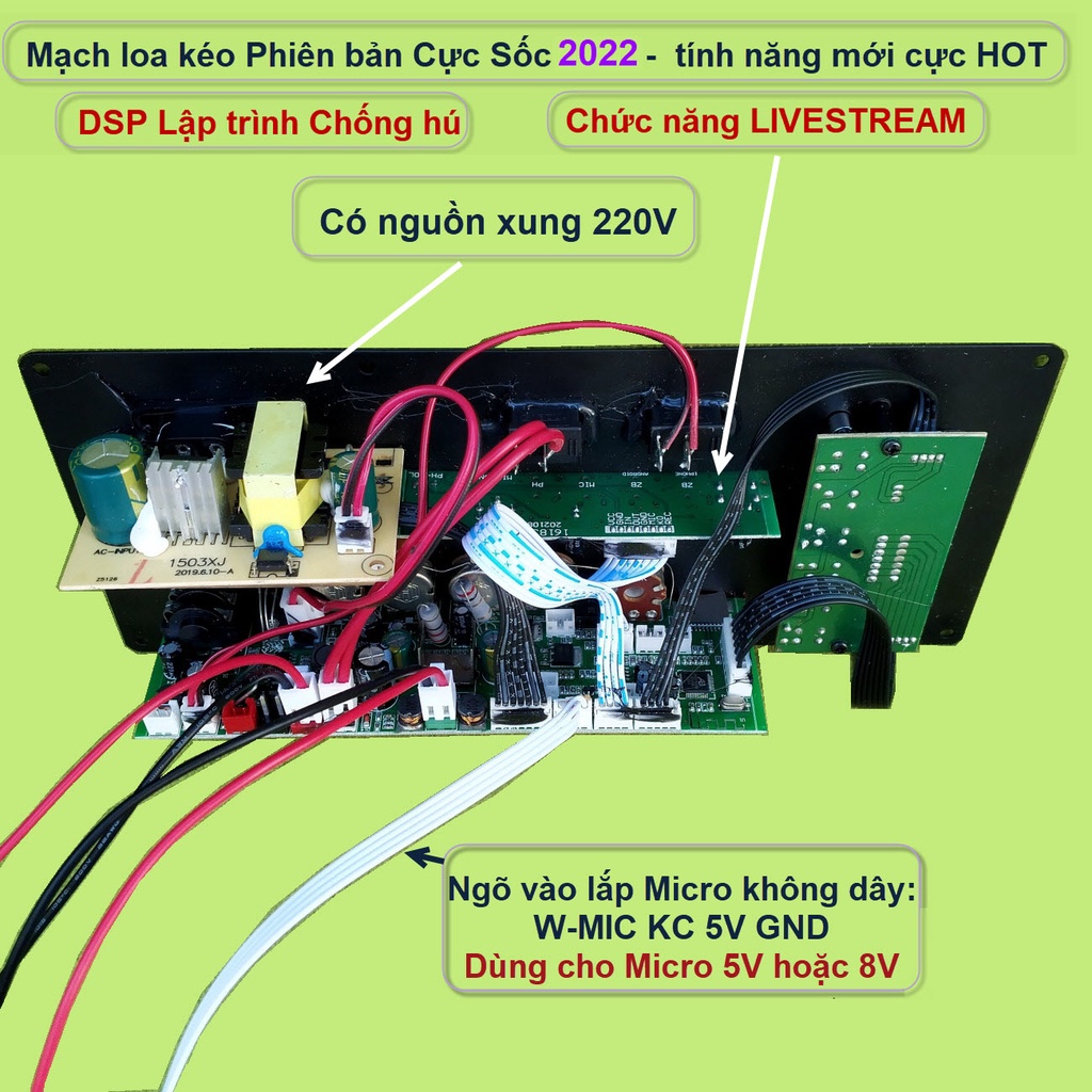 Mạch loa kéo 3 tấc đơn 3 đường tiếng LIVESTREAM DSP chống hú IC CS8676 120W nguồn xung 220V  và micro đơn