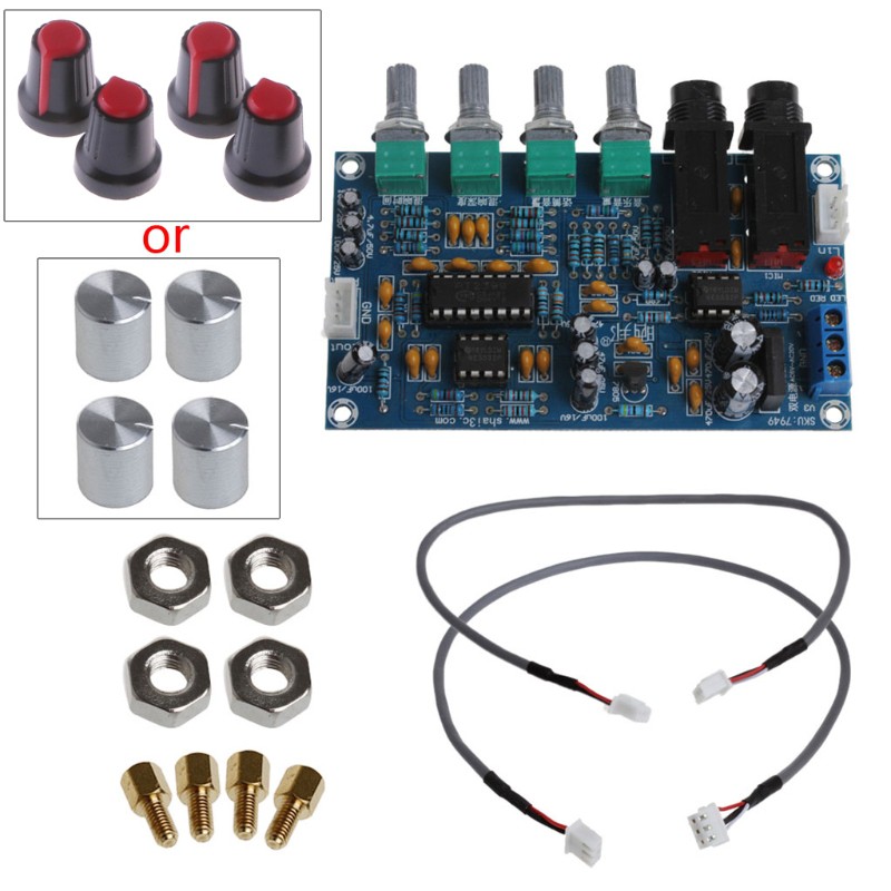 Dual Power Microphone Amplifier Board Sound AMP Module Digital Reverb Plate