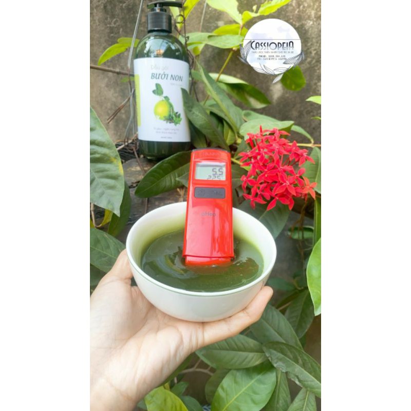 Dầu gội bưởi non cao cấp giảm gàu, giảm rụng và kích mọc tóc | BigBuy360 - bigbuy360.vn