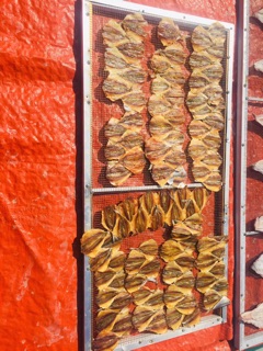 Cá chỉ vàng khô