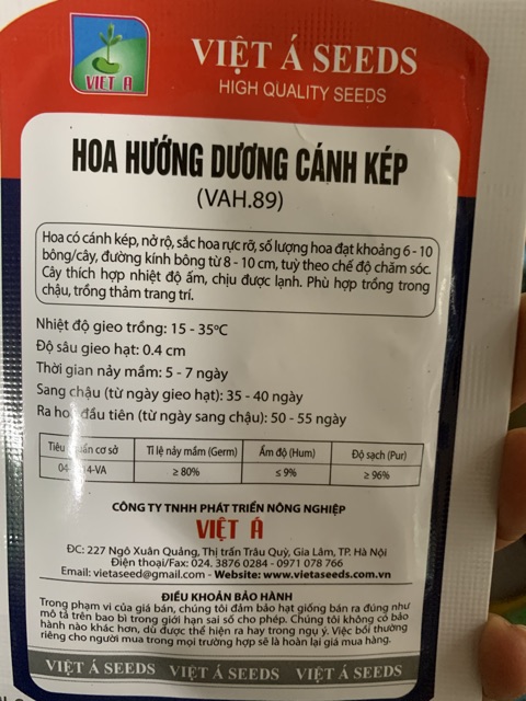 Hạt hoa hướng dương lùn,cánh kép, đỏ