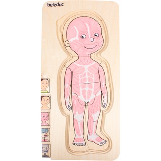 Bộ ghép hình Multilayer Puzzles – Your Bodies (Little Boy)