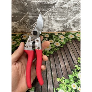 Kéo cắt cành Buddy  BD035