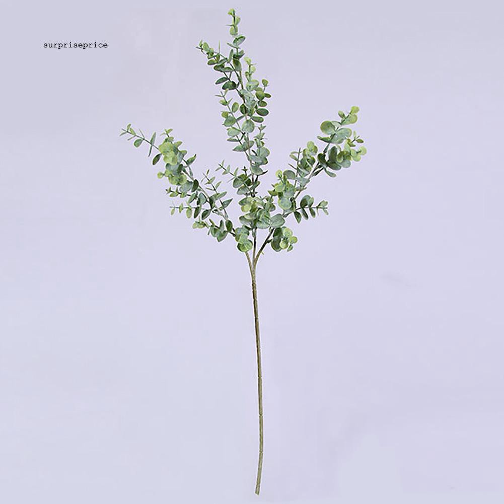 Cây bạch đàn giả 3 nhánh dùng để trang trí nội thất