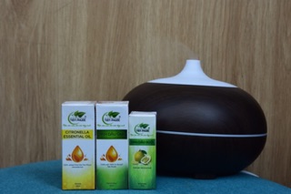 Tinh dầu quế Tiên Phước 20ml