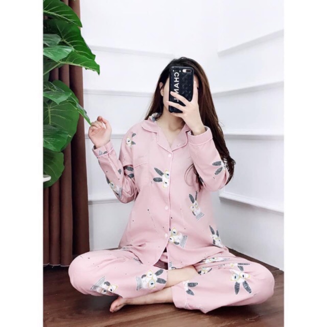 Bộ kate thái