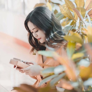 Tiệm đồ chơi Vân Anh Harpstore