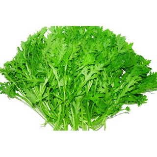 Hạt giống rau Cải cúc