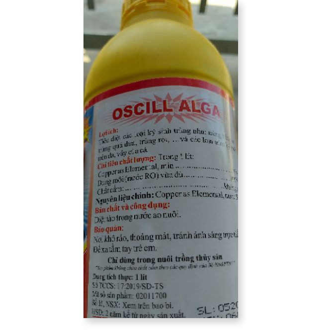 OSCILL ALGA- diệt ngoại ký sinh trùng, diệt nhanh trùng bánh xe, trùng quả dưa và xử lý hiệu quả đốm so