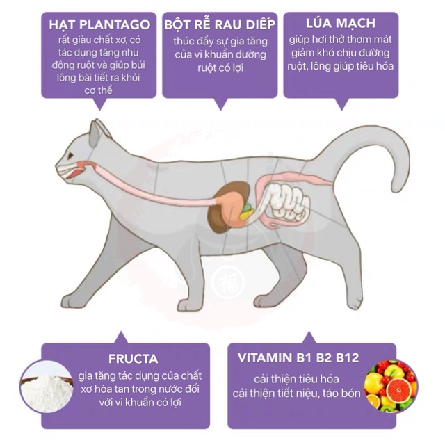 Thực phẩm bổ sung hỗ trợ búi lông - NOURSE 29