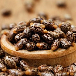 Dầu Thầu Dầu ( Castor Oil )
