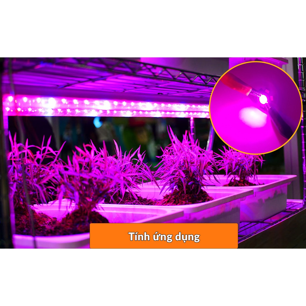 Led quang phổ 3W kèm đế 20mm, đèn led trồng cây quang phổ