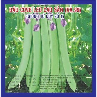 Hạt giống Đậu Cove Leo Hạt Nâu Tứ Quý (VA.99)