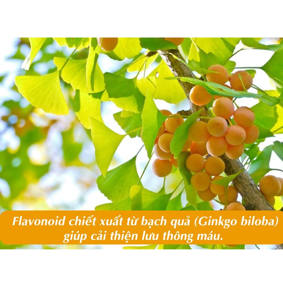 BioCo HuVit Gink forte  - Bổ não, Hoạt huyết, Tăng cường trí nhớ