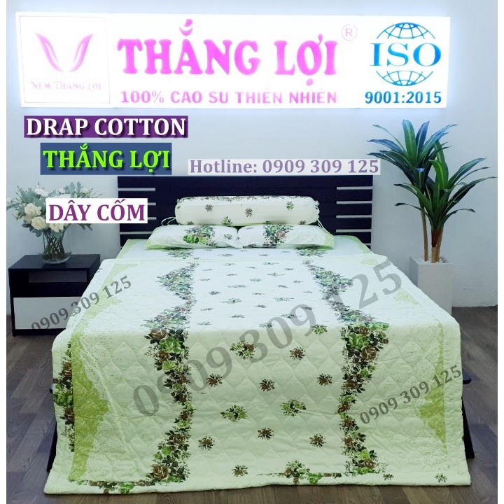 Bộ drap(4 món) cotton Thắng Lợi, ga giường chính hãng, dây cốm (hình thật)