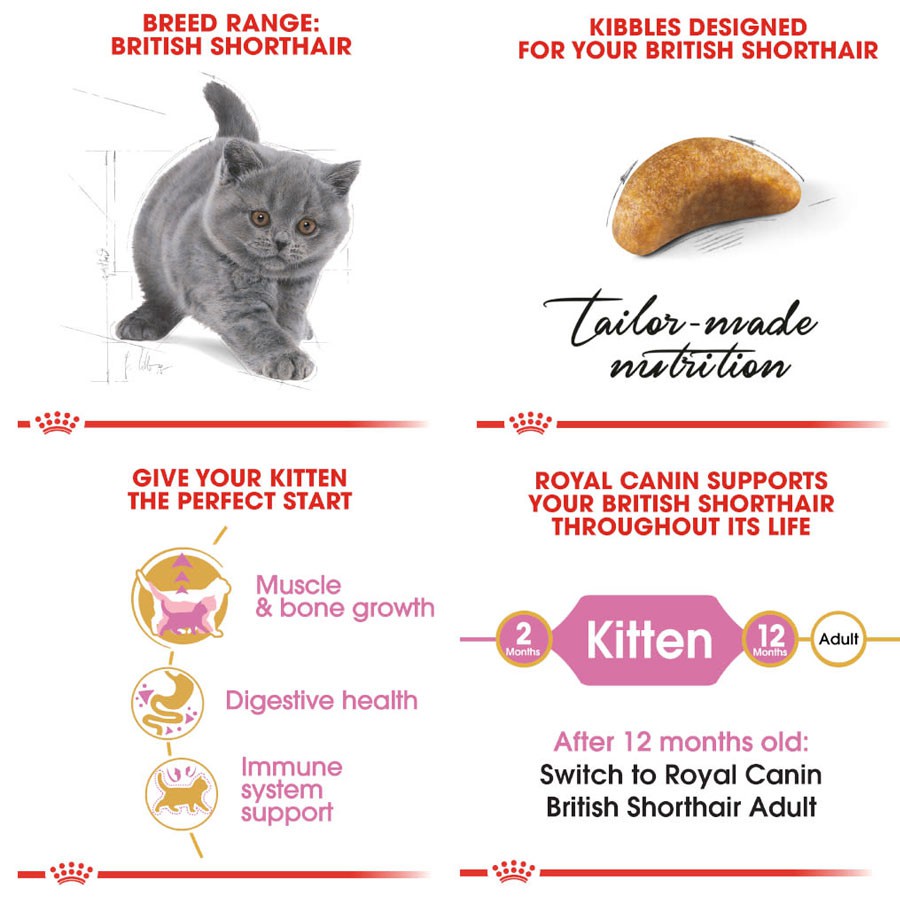 [Mã PET50 giảm 10% - tối đa 50K đơn 250K] [400g] Hạt Cho Mèo Con Anh Lông Ngắn Royal Canin British Shorthair Kitten