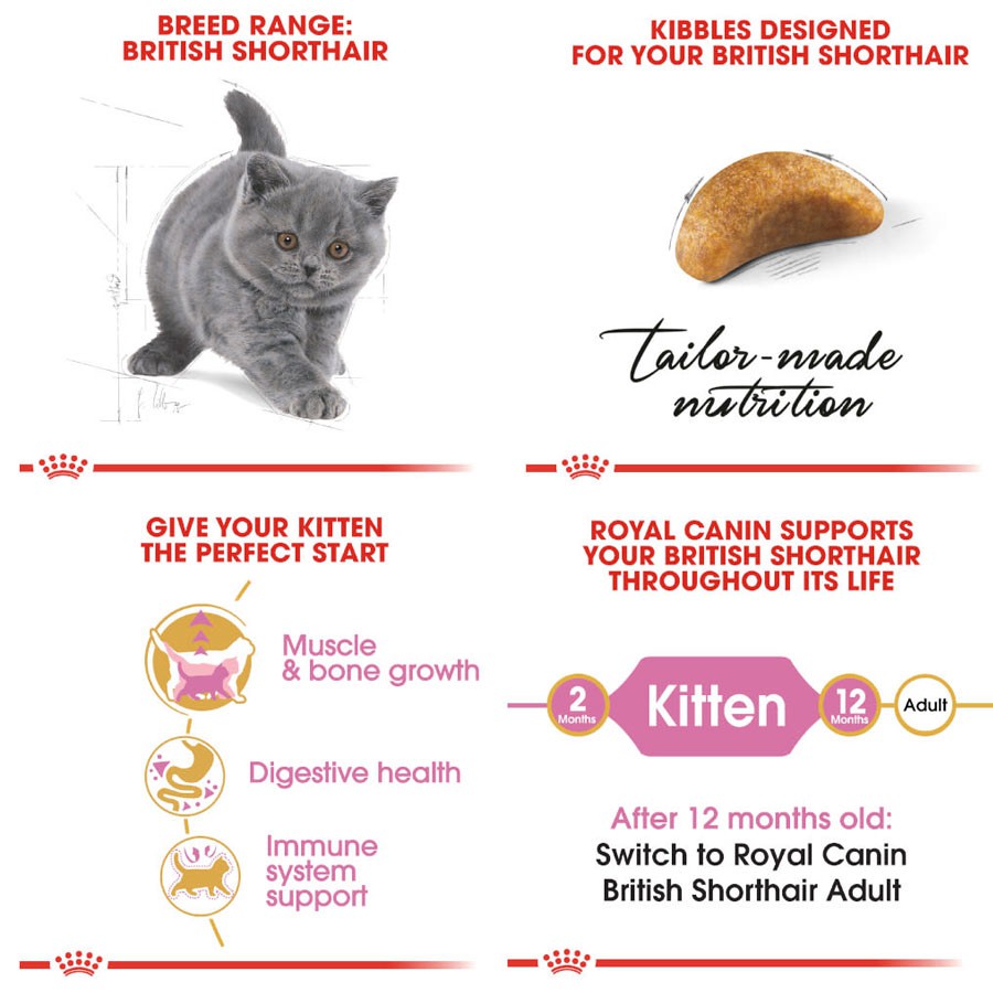 [400g] Hạt Cho Mèo Con Anh Lông Ngắn Royal Canin British Shorthair Kitten