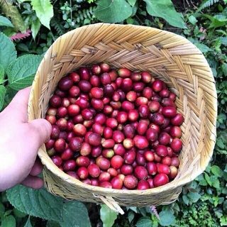 Cà Phê Gu Việt - rang mộc - gói 500gr