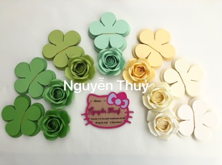 Set cánh hoa cắt sẵn