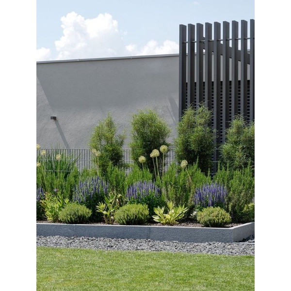 Bể cá mini ban công Nhựa 10 kt 40x30x30 một mặt kính  LAM KINH GARDEN