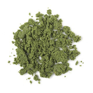 Bột rửa mặt Herbalism Lush