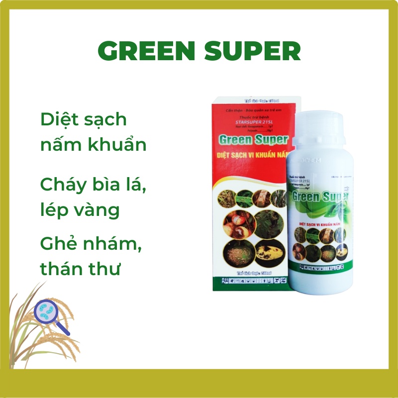 GREEN SỦPER 21SL trừ bệnh do nấm và vi khuẩn trên lúa, rau màu, cây ăn trái