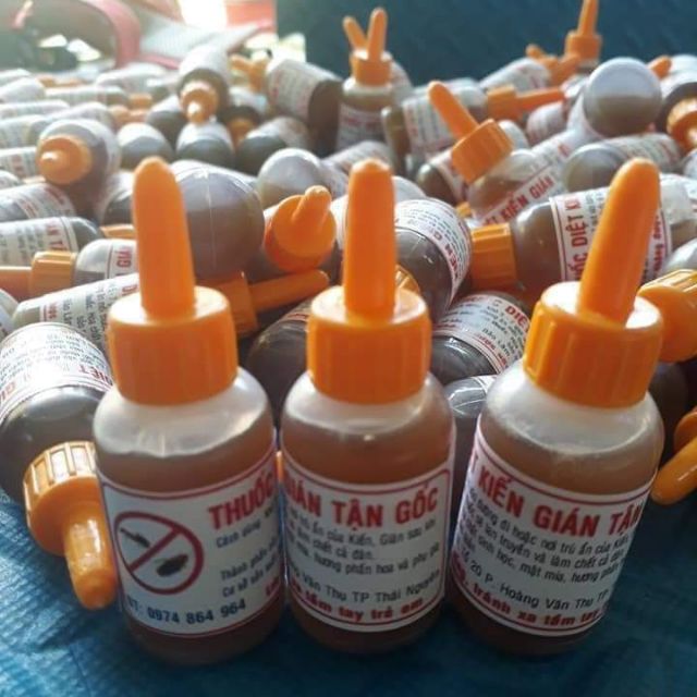 Diệt kiến gián tận gốc