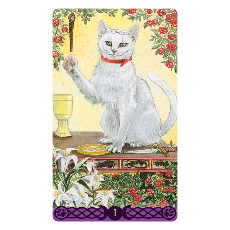 Bộ Bài Tarot of Pagan Cats - Mini Edition (Mystic House Tarot Shop) - Bài Gốc Authentic Chính Hãng 100%