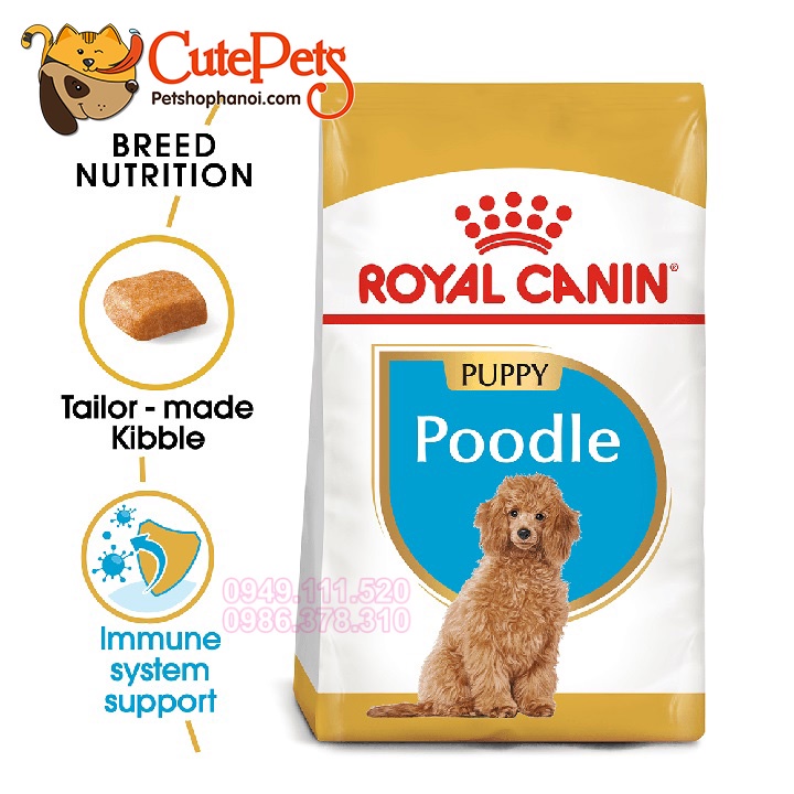 Hạt Royal Canin Poodle 1,5kg Thức ăn hạt cho chó cao cấp - Phụ kiện thú cưng Hà Nội